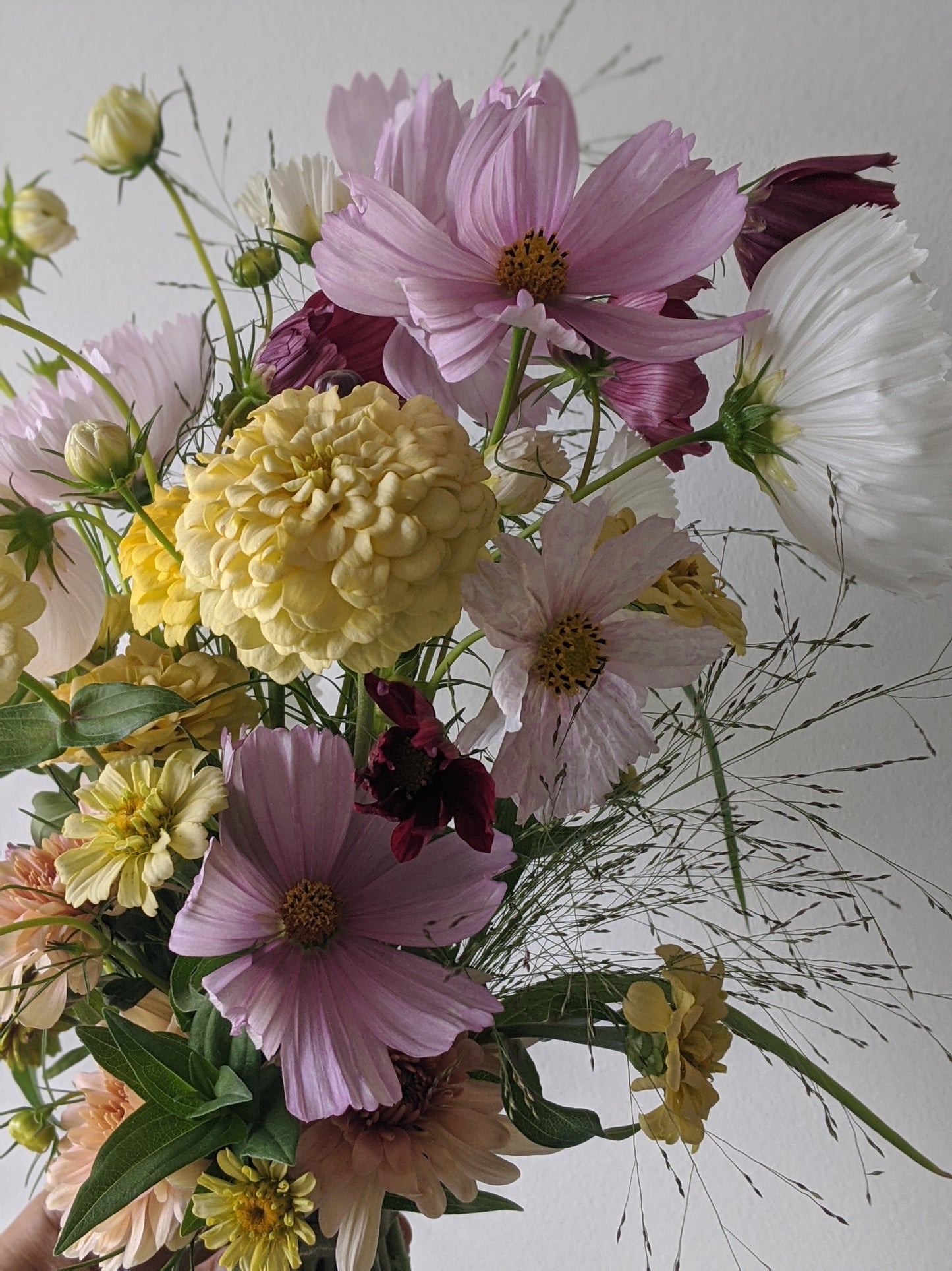June Bouquet Subscription