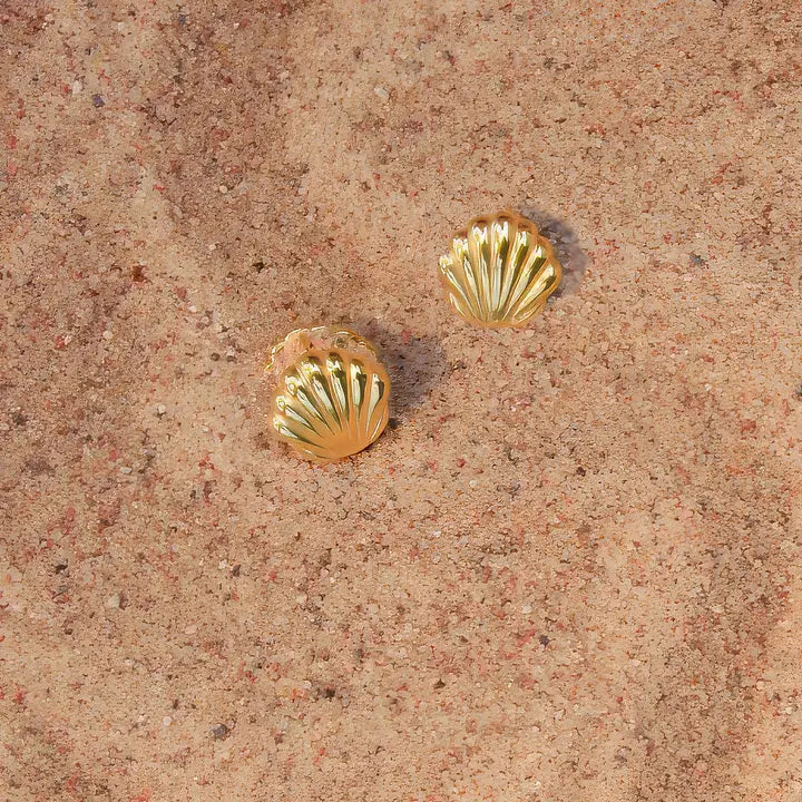 What the Shell Hoops
