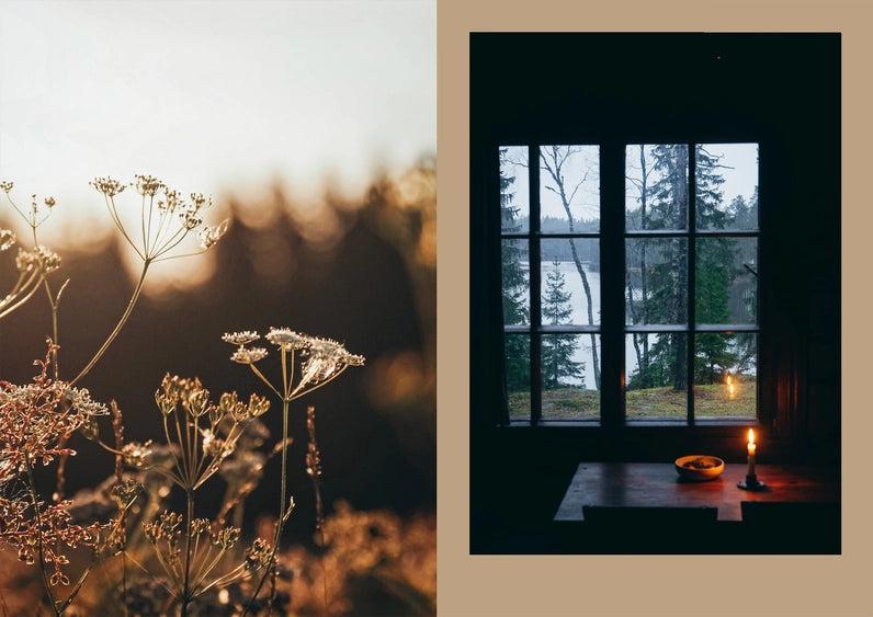 For Seasons of Cabin Cooking Book