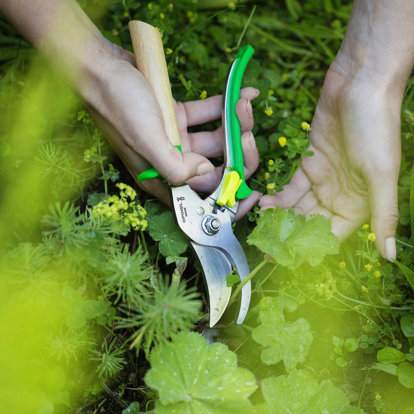 Hand Pruners in Green