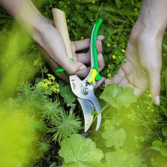 Hand Pruners in Green
